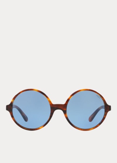 Women's Polo Ralph Lauren Oversize Round Sunglasses | 641203XTW